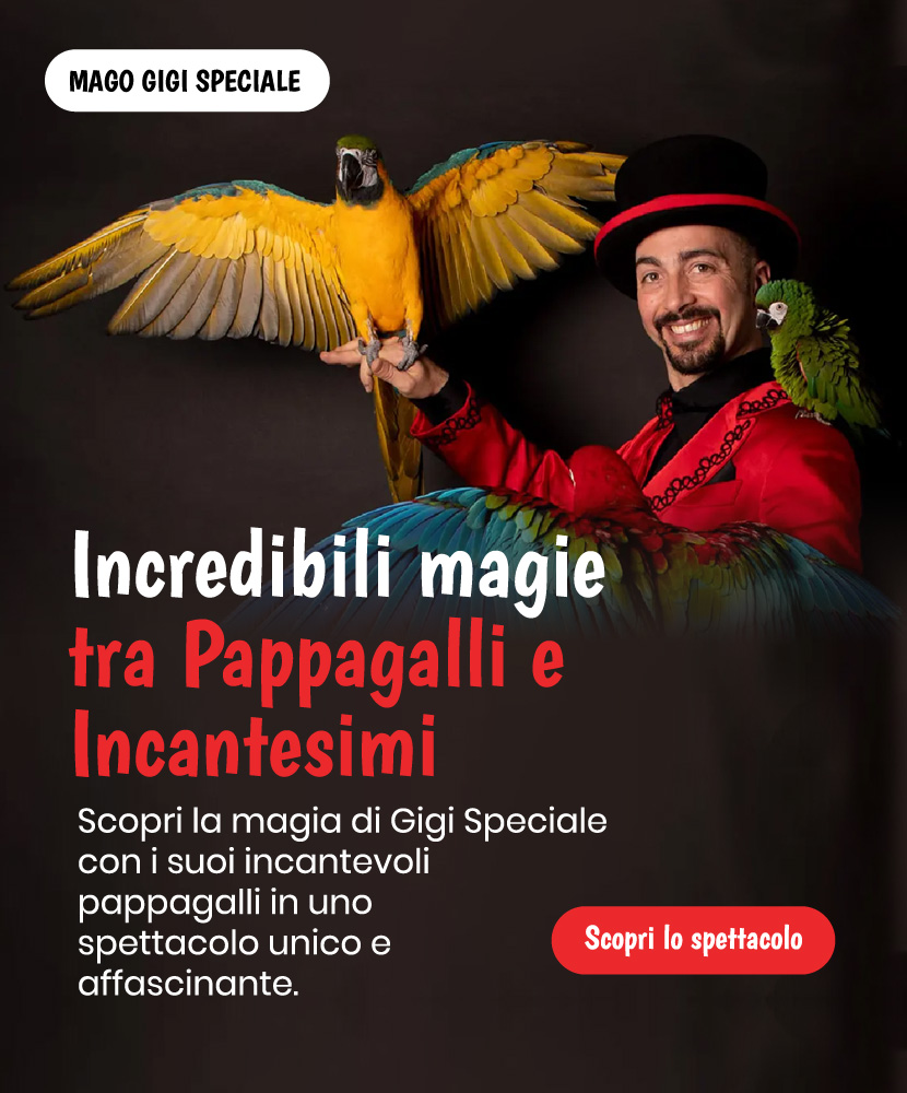 mago gigi speciale